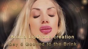 Aroma LipDrone creation - Day 5 Gooned to the Brink