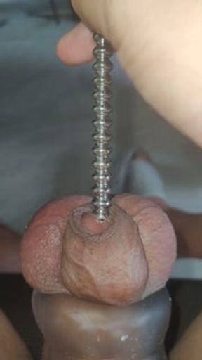 拘束阳具和睾丸插尿道棒