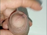 hombre desesperado pissing, gran erección y venas brotadas