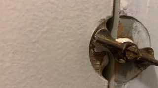 Wife's sister sucks dick in shower blowjob cumshot facial