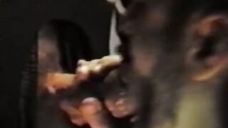 Retro Erotica - Glory Hole Thrill Seeker Gets Fucked And Facialed