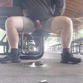 Cum and piss in a very public location.