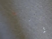 Nut On my new living room floor yesterday