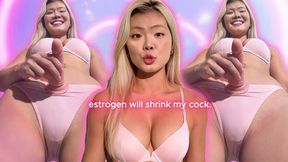 Estrogen Feminization Affirmations (Highly Effective!) [MOV]