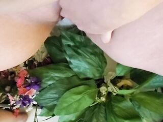 Void urine cleaning some dusty fake flowers