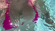 Artemisia Love sexy solo big tits in a micro bikini outdoor and underwater link in bio