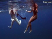 Sea adventures on Tenerife underwater