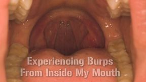 Experience Burps Inside My Mouth