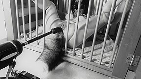 A Day In A Life Of A Kitten: Ep.1 - Squirting On Her Tail Bdsmlovers91
