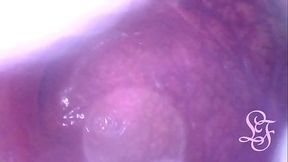 Travel inside my huge Ass Cave