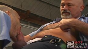 Mature Automotive: Under Inspection