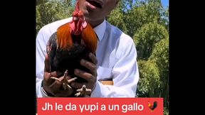 Filtrado: Jh detona a Gallina xD
