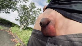 Asian twink riskily flashes his foreskin penis in a public park