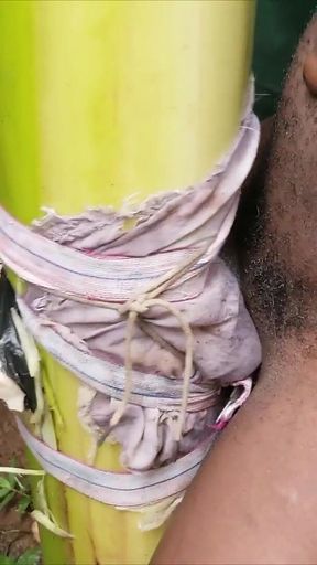 Masturbator Have Back Again with a Plantain Cum Hot