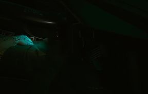 Cyberpunk 2077 Sex Scene with Panam by Loveskysan