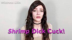 Shrimp Dick Cuck Humiliation JOI