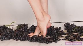 Messy Grape Crush Session - 4K MP4