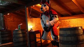 Husky Fursuiter Suspension Jerkoff