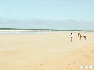 Life on the beach