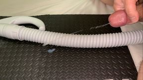 Small Penis Rubbing, Loving And Shooting A Load Of Cum On A Vacuum Hose