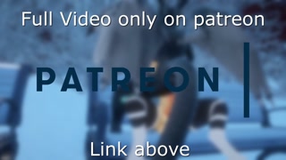 Wicker beast Breeds Cute Dragoness