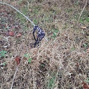 cum on thong found in park