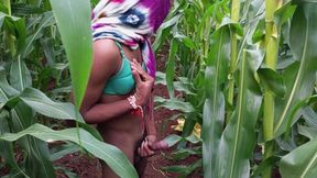 College Desi Eunuch Has a Lot of Fun in the Corn Cob Field at Dusk