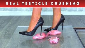 Four Stilettos vs Three Testicles (248) - Feet Cam - Balls Ball Testicle Trample Trampling Castration Food Crush Crushing Shoe Heel Heels Fetish