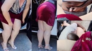 Mamada, creampie, anal, corrida, semen – POV público de una MILF PAWG de culo grande follada por una polla grande