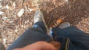Sean takin a piss at a park