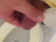 Attempting to Jerk in Park Bathroom but Kept Getting Interrupted