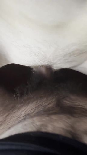 My Stepsister Lost Her Pussy in a Card Game   Clip 3