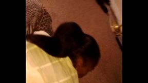 DMV All-STAR Nicky Cheek$ pt 3.