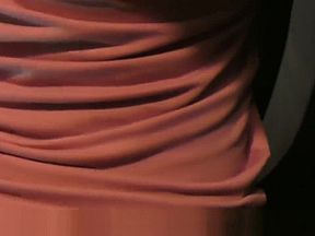 Fucking in an Adult Store Video Booth