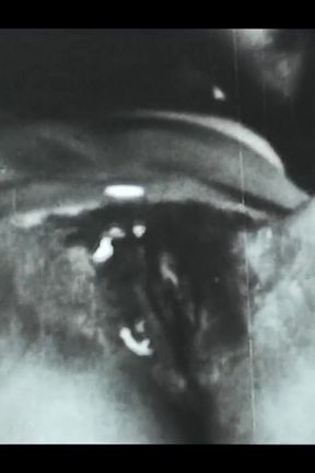 Vintage porn retro erotic theatre - glorious orgy