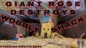 Giant Rose Destroys Wobbly Shack- Starring Smokin Rose