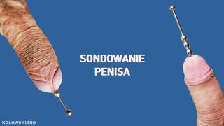 WANKING OFF: How to enlarge sheer pleasure? (onanism & sounding) – puny manhood KolowskiBRO!