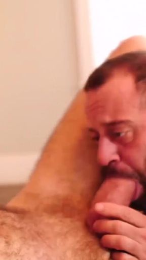 BEARFILMS - Stepdaddy bear Martin Pe breeds cub Mathieu Angel