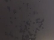 Huge 30 Second Cumshot from a Hard Young Penis