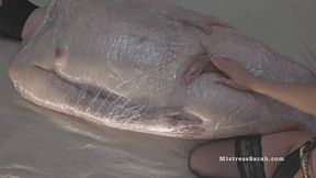 Wrapped, Teased & Denied: Clingfilm Slave Edged Until He Pays. PART 2