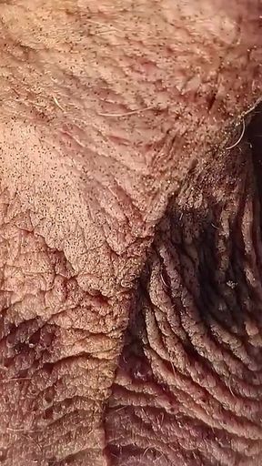 Old Man Playing on the Beach