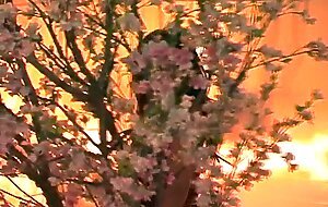 Breanne Benson has breasts with big nipples and a wet pussy