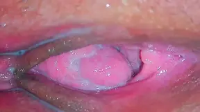 Juicy Pussy Close Up