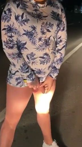 Flashing My Dick