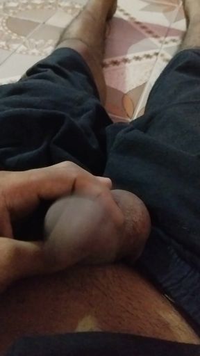Desi Bihar
