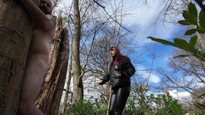 Woodland Caning