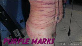 PURPLE MARKS (WHIPPING) -MOBILE VERSION