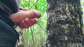 Contact with nature ended with a wank between the trees and a juicy orgasm.