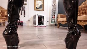 Puppy Training (1080p HD WMV)