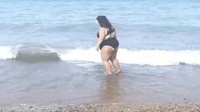 BBW Pig snacks and jogs at the beach